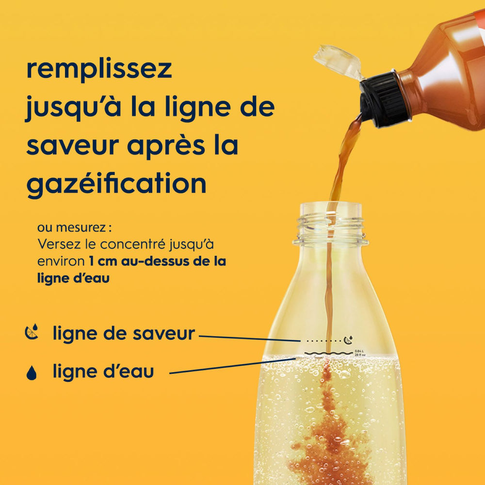 Sirop Lipton Ice Tea saveur Pêche – 3